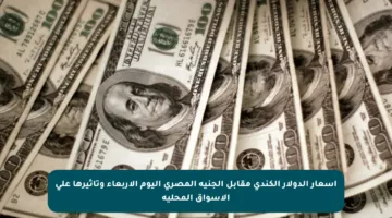 أسعار الدولار الكندي مقابل الجنيه المصري اليوم الأربعاء وتأثيرها على الأسواق المحلية